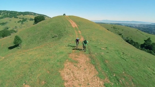The Lords of Loam