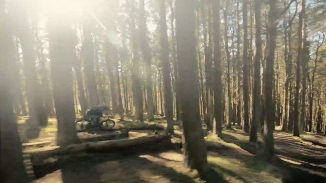 Thorfinn at the local RAW