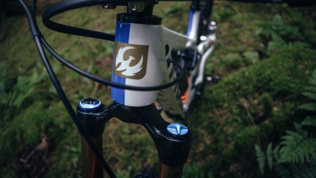 Introducing the PFR LTD Edition Firebird