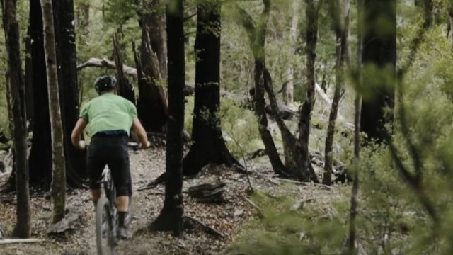 Free Candy Tour // E3: Fading Sanity and a Three Winged Chicken at the NZ Enduro