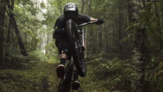 FLOWEY - Brendan Howey - Thibault Menu - 2016