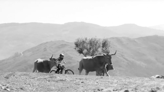 Quarantine Research: Throwback 2018 | Emanuel Pombo