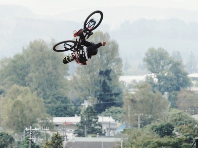Bluegrass Welcomes Torquato Testa to the Team