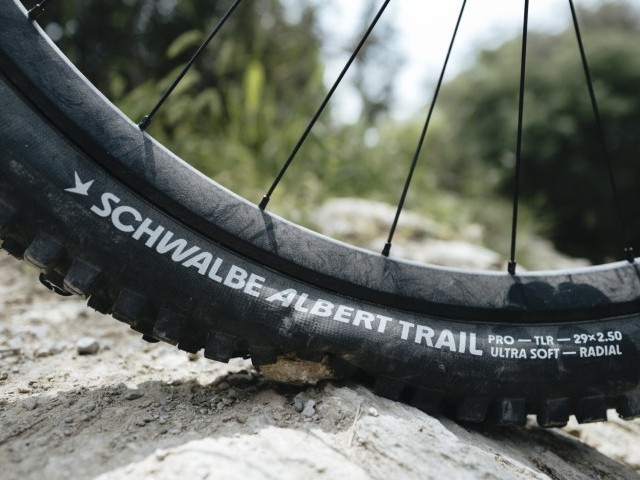 Technological Milestone: Schwalbe Presents New Albert and Shredda Radial Tires