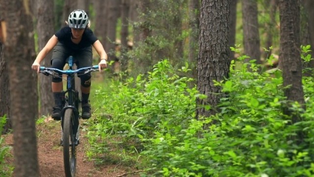 Deity: Koala Featuring Shelly Flood