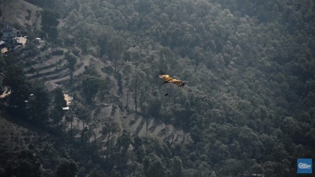 Introducing SpeedWing Rotors