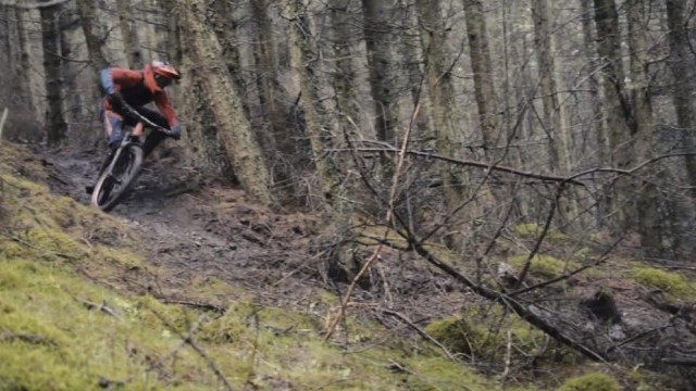 thebikingsquirrel 2016