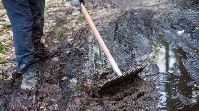 how to service your mountain bike