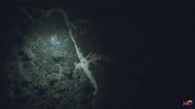 Loic Bruni's Midnight MTB Ride on a Trail lit by a Drone!