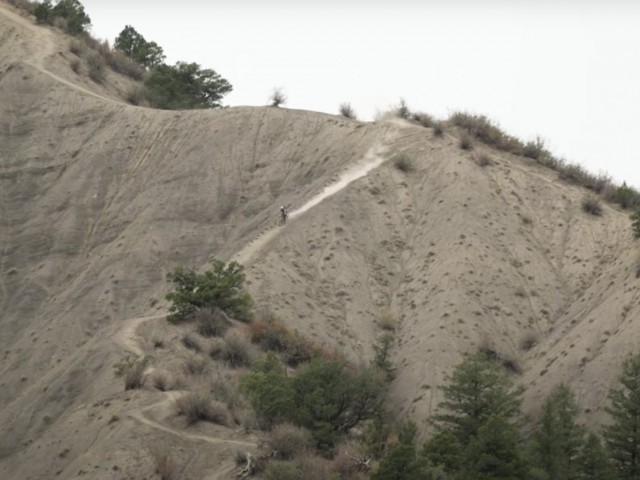 Praying Mantis gets a needed upgrade: GEARS!