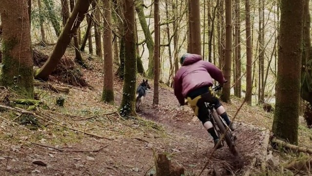 C Line MTB 2.0 - (4K Edit)