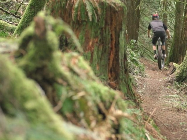 Vedder RAW - John Lefrancois