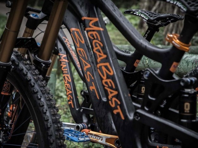 kids dh bikes