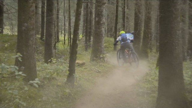 Local Loam: Mexico City, and the story of the De Avila brothers