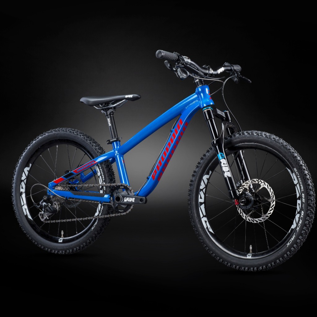 kids hardtail