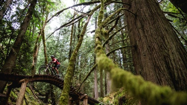 BC Bike Race: ‘Ultimate Singletrack Experience’ Announces 2019 Route & Details – LUCKY 13th Year!
