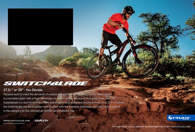 Pivot Cycles Issue 47