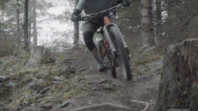 The Trust Fork Ride Report!