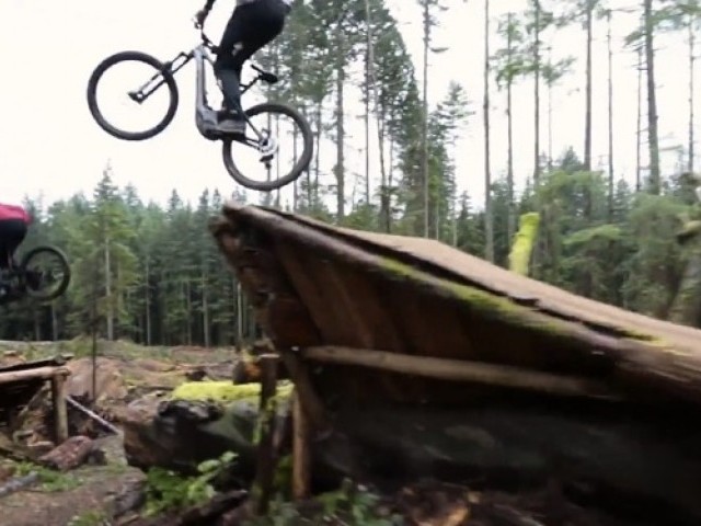 Skeptical By The Coastal Crew