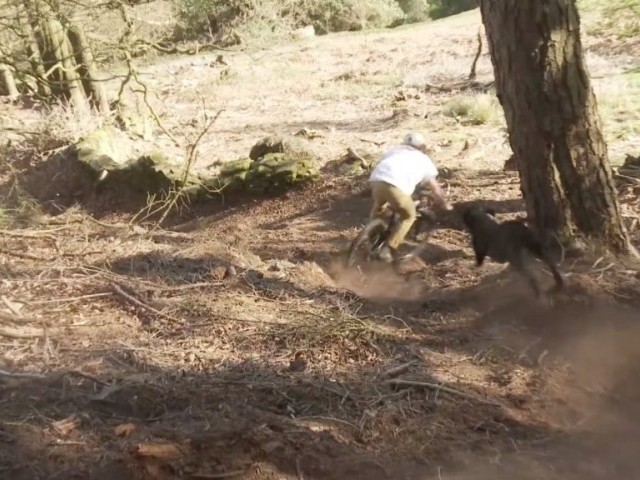 Home To Roost - Episode 12