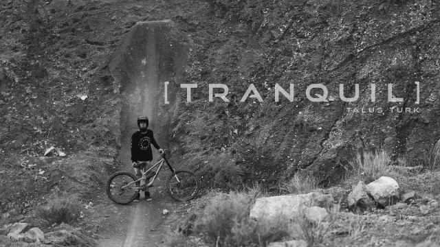 Video: 'Tranquil' feat Talus Turk