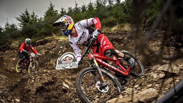 Red Bull Foxhunt Returns to Rostrevor with Three Elite Foxes