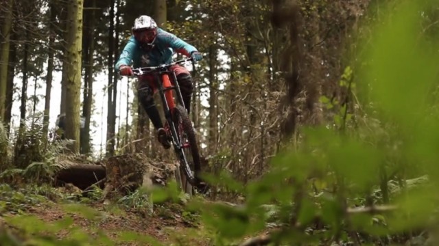 Woodstairs - Benoit Coulanges