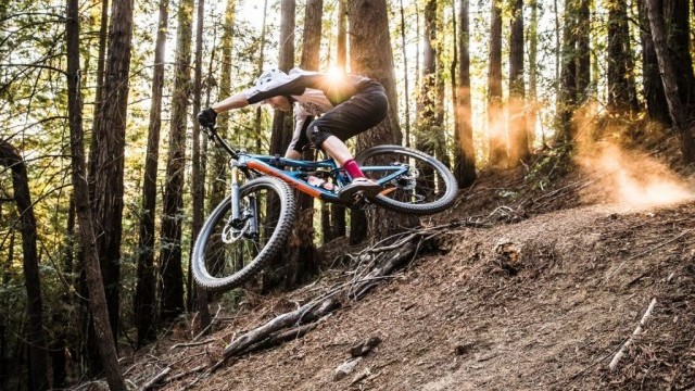 Ibis Cycles: Ripmo 29er Prototyoe
