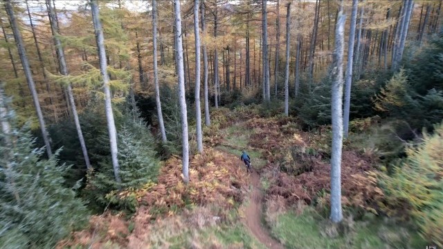 Tree dodging, a broken helmet and deadly compounds - Search for the SLOP Episode 3