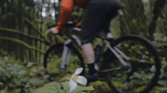 Knolly Bikes Titanium Gravel Grinder: Cache