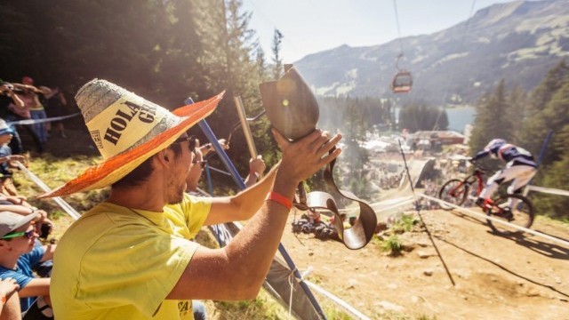 Last European World Cup 2019 & Accreditation