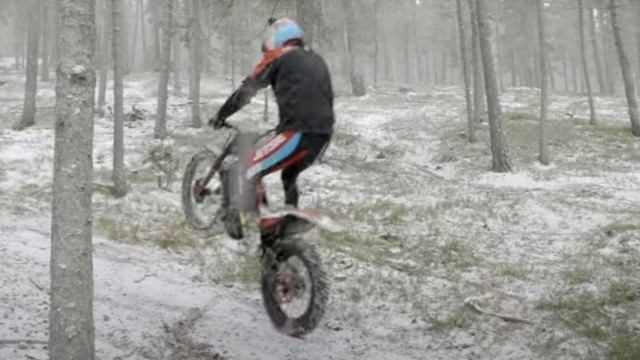 The Undisputed King of Downhill MTB Shares His Secrets: Loïc Bruni