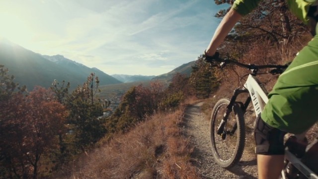 Fall Rules - Philip Walder