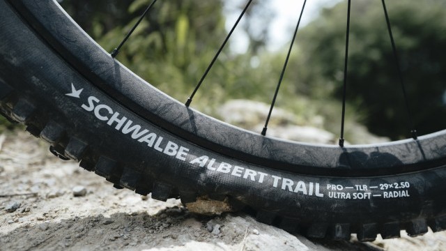 Technological Milestone: Schwalbe Presents New Albert and Shredda Radial Tires