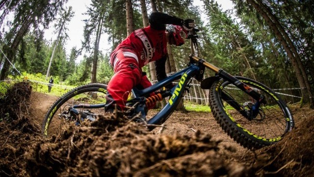 The Evolution of Speed: Pivot Phoenix 29