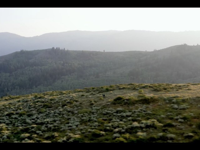 SIGHT UNSEEN – The Teton Valley with Brice Shirbach