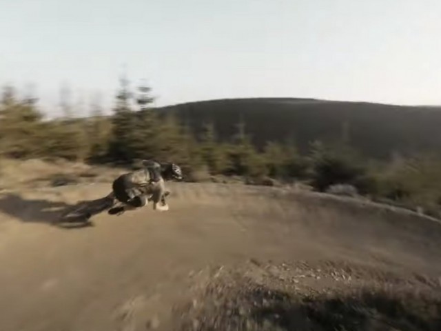 ROSE GROUND CONTROL - Surf the trail