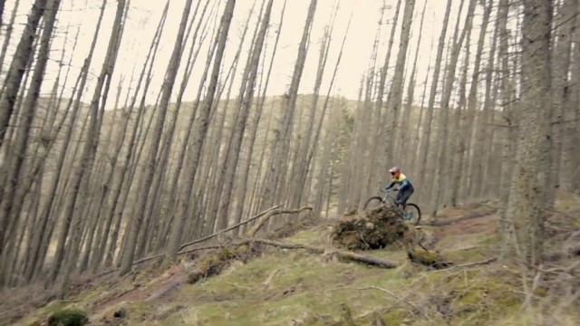 A Murmur in the Valley - Starling Cycles