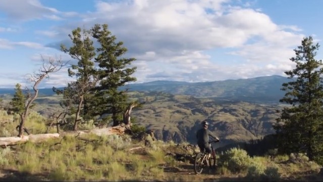 Mother Earth - Dirt Diaries 2018