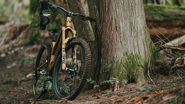 Video: GOLD STANDARD ft. Bryn Atkinson