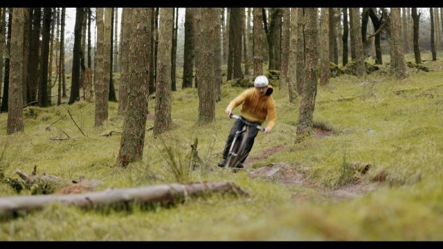 VIDEO - 'Collaborate' by Innes Graham