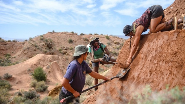 12 Elite Female Freeriders at 2022 Red Bull Formation in Utah