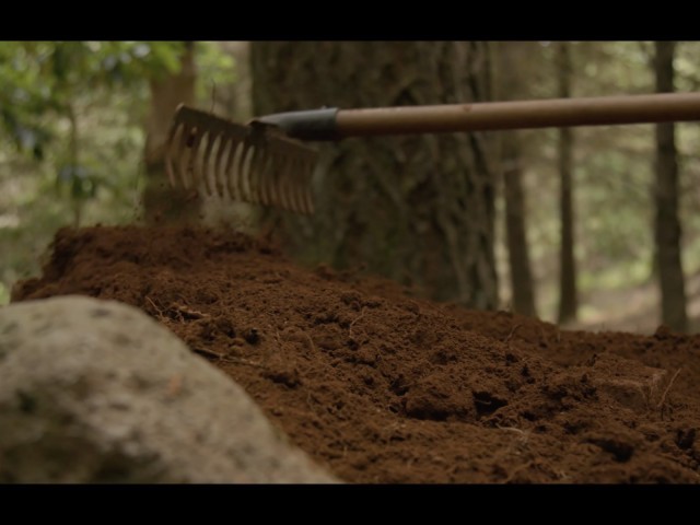 Build It And They Will Come - Madeira