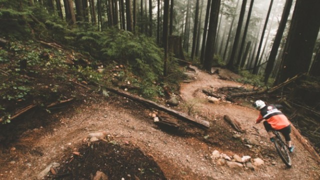 Is The EWS Ready For Shredgar? You tell us...