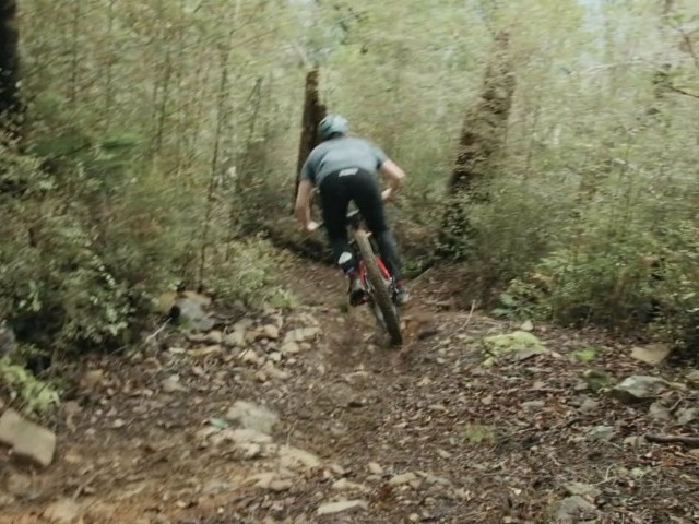 It's a Match! The Honzo ESD