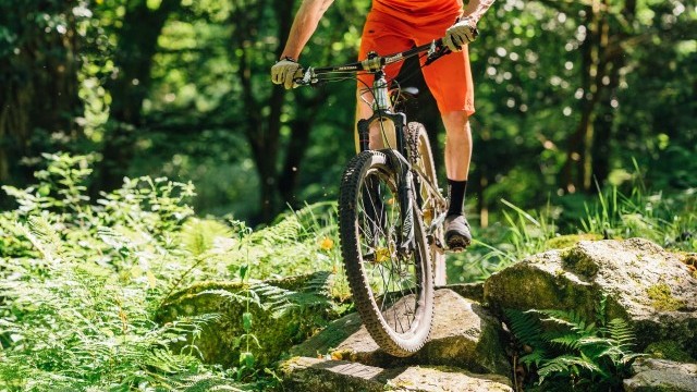 Mountain Bike Technique - The Trade off