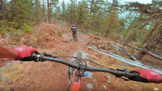 Showing The Americans The Canadian Gnar