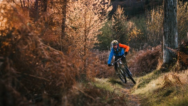 mountain biking skills and techniques