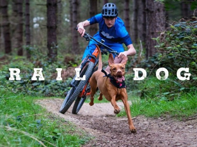 Trail Dogs