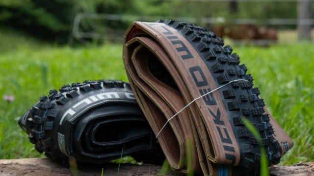 Mountain Bike Reviews - Schwalbe Wicked Will 2021